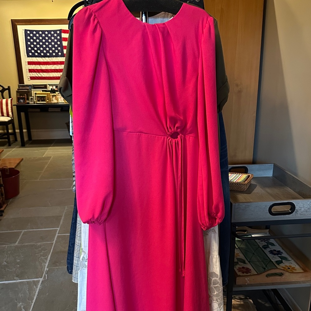 CAbi Vibrant Pink Long Sleeve Dress